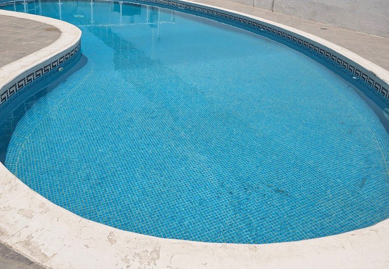 Pool Before Renovation